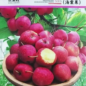 আপেল বীজ ১ প্যাকেট