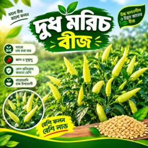 দুধ মরিচ বীজ