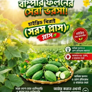 হাইব্রিড খিরাই - সরস প্লাস 10gm
